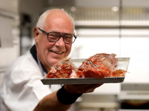 Kulinarik im Hotel Am Hirschhorn – Leidenschaft für Küche und Genuss in der Südwestpfalz
