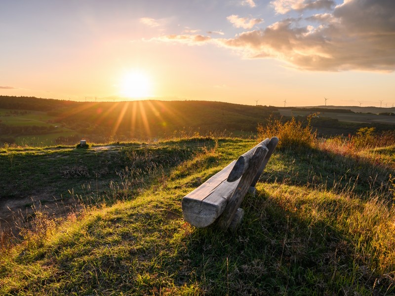 Gänse Genuss Arrangement