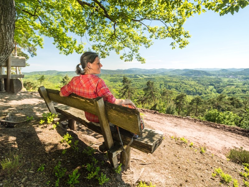 Kurzurlaub in der Pfalz