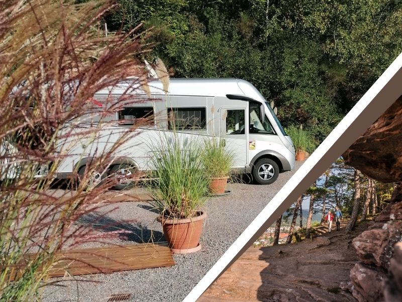 Wohnmobil-Stellplätze in der Pfalz mit Hotelkomfort und Wellness