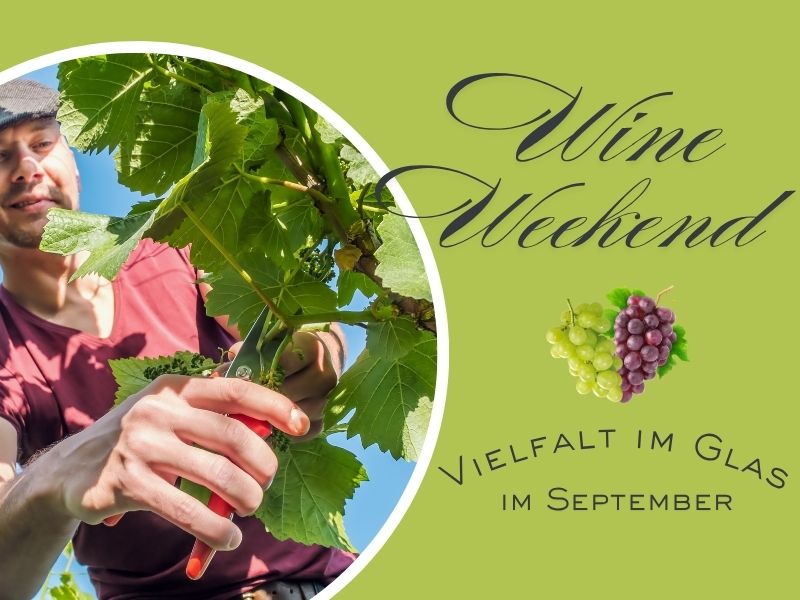 Wine Weekend im September im Hotel Am Hirschhorn – 2ÜN, Weinmenü und Wellness in der Pfalz