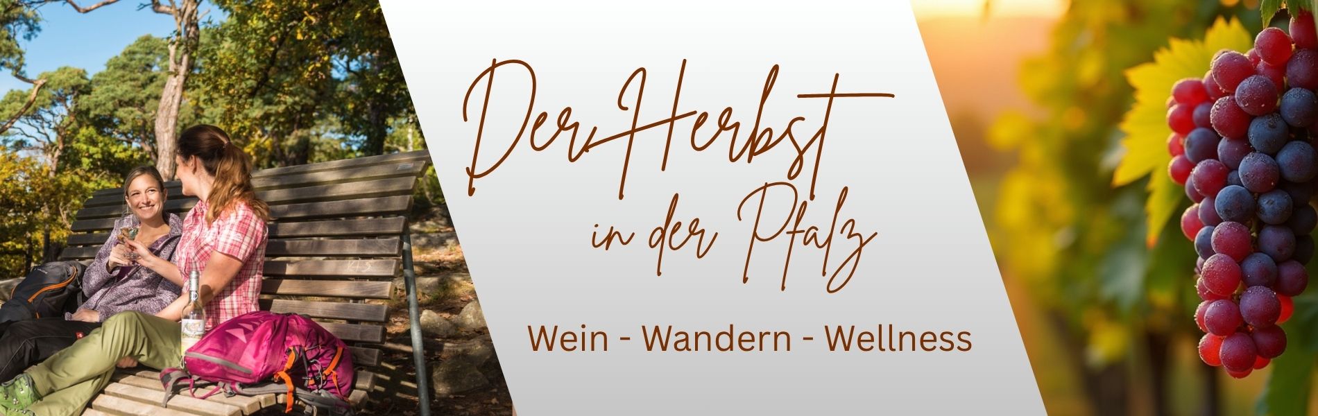 Herbsturlaub in der Pfalz mit Wandern, Wellness und Wein im Hotel Am Hirschhorn – Genuss und Erholung im Pfälzerwald