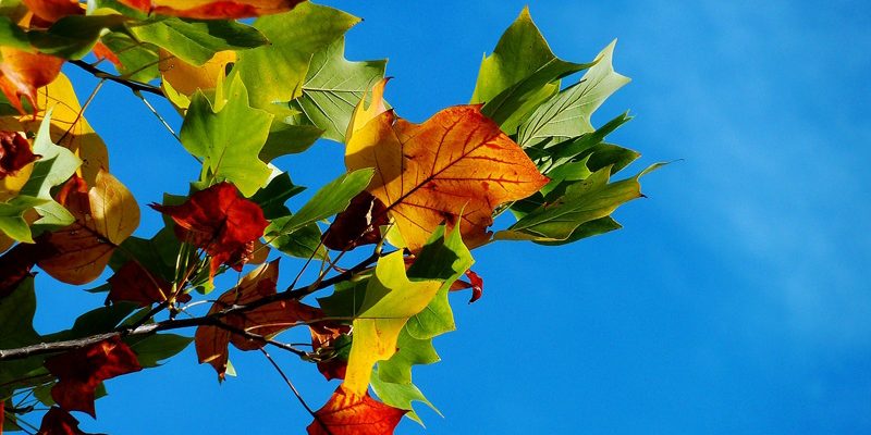 Feiertag 3. Oktober 25