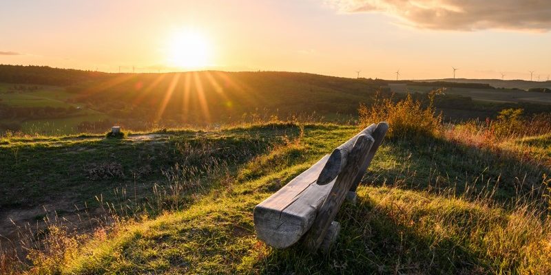 Gänse Genuss Arrangement