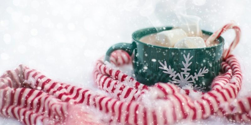 Winter-Kurzurlaub im Pfälzer Wald