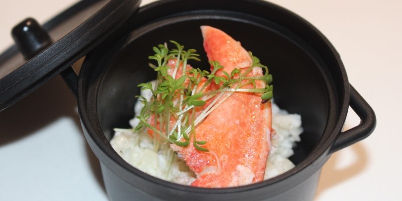 fisch lightbox 2